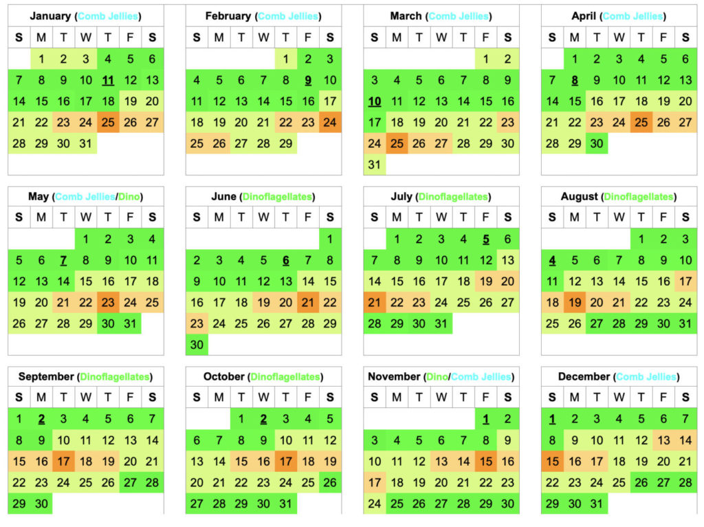 2024 Florida Bioluminescence Moon Calendar